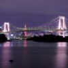 Kenko R クロススクリーン (4字クロス)