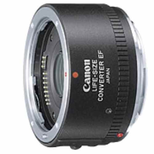 Canon EF マクロ 50mm用 ライフサイズコンバーター