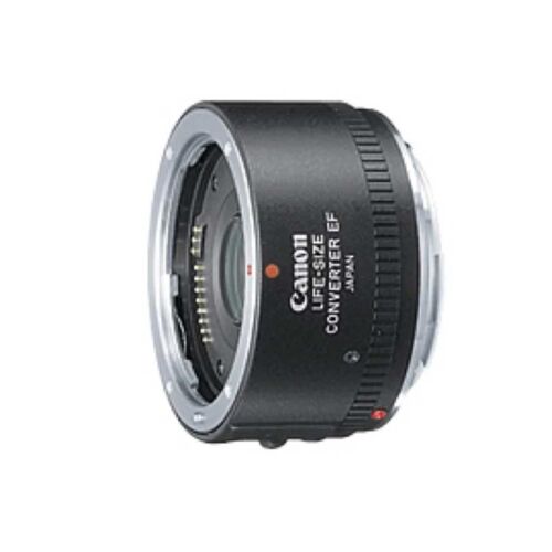 Canon EF マクロ 50mm用 ライフサイズコンバーター