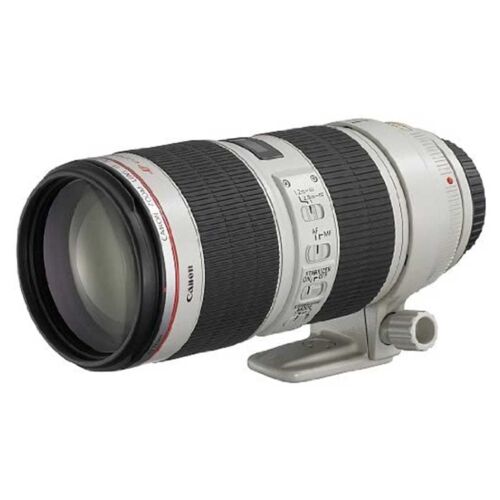 Canon EF 70～200mm F2.8/L ISⅡ