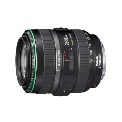 Canon EF 70～300mm F4.5-5.6 DO IS