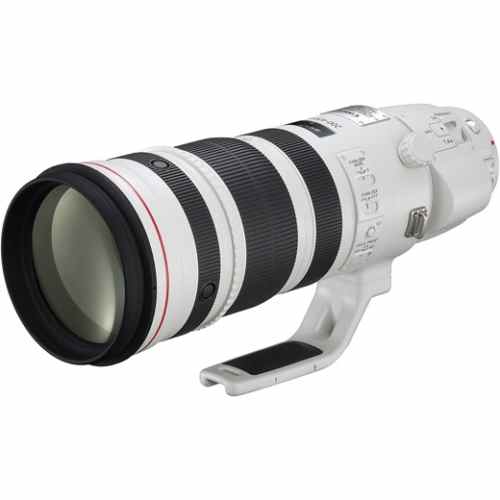 Canon EF 200～400mm F4 IS＋1.4×