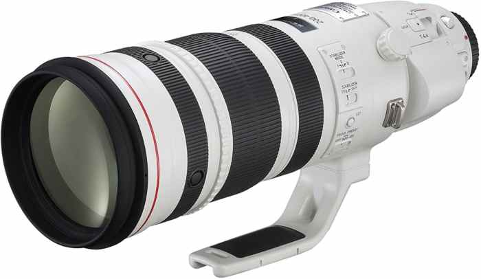 Canon EF 200～400mm F4 IS＋1.4×