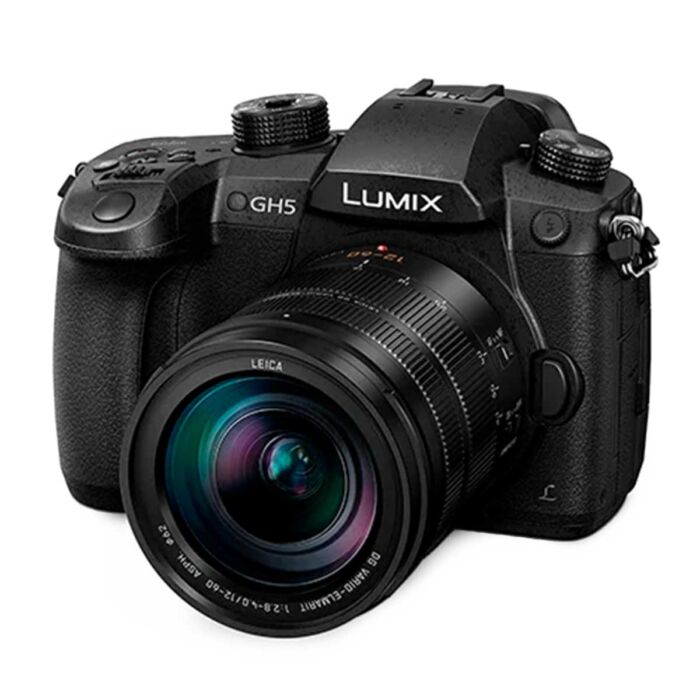 Panasonic DC-GH5 (LUMIX12-60mm付)