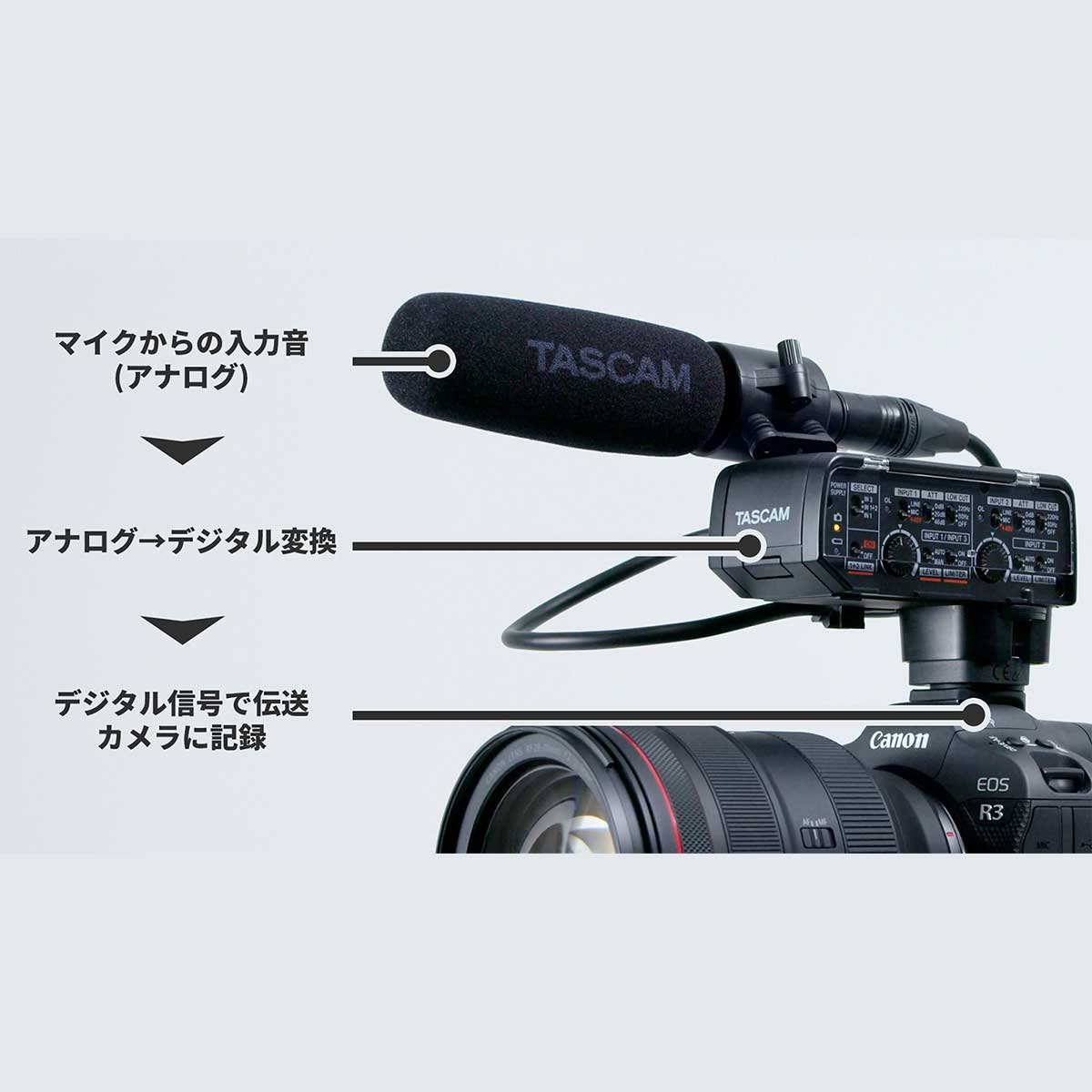 タスカム CA-XLR2d (Canon/FUJIFILM/Nikon) タスカム CA-XLR2d (Canon/Fujifilm/Nikon)