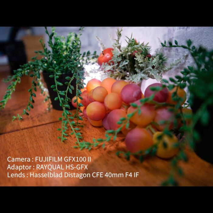 RAYQUAL HS-GFX (Hasselblad Vマウント to FUJI Gマウント ) - 画像 (5)